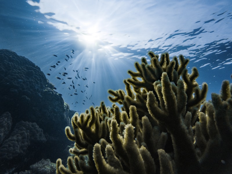 天秤タチウオ釣行記録(小川丸タカシ船長)